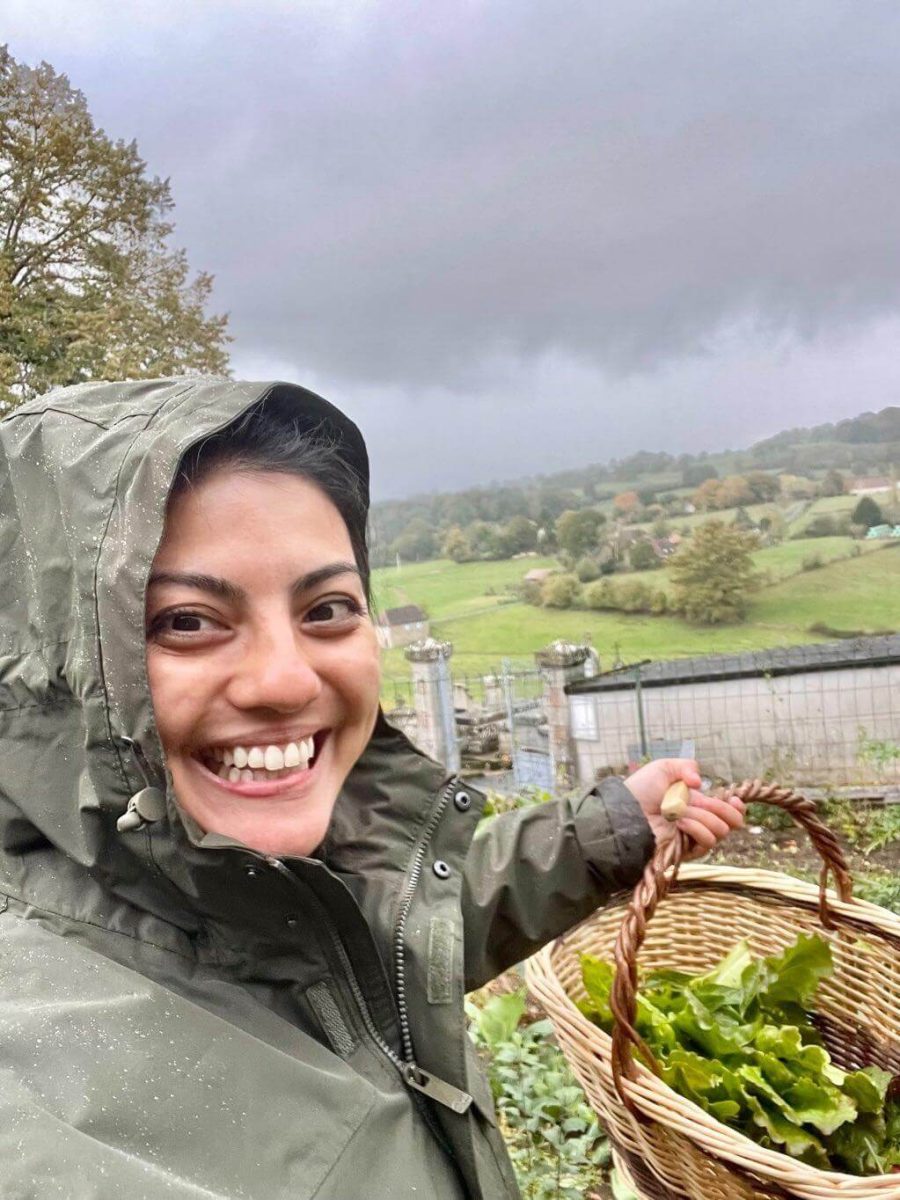 Selling Plants On Etsy in 2024 (6 Simple Steps!)