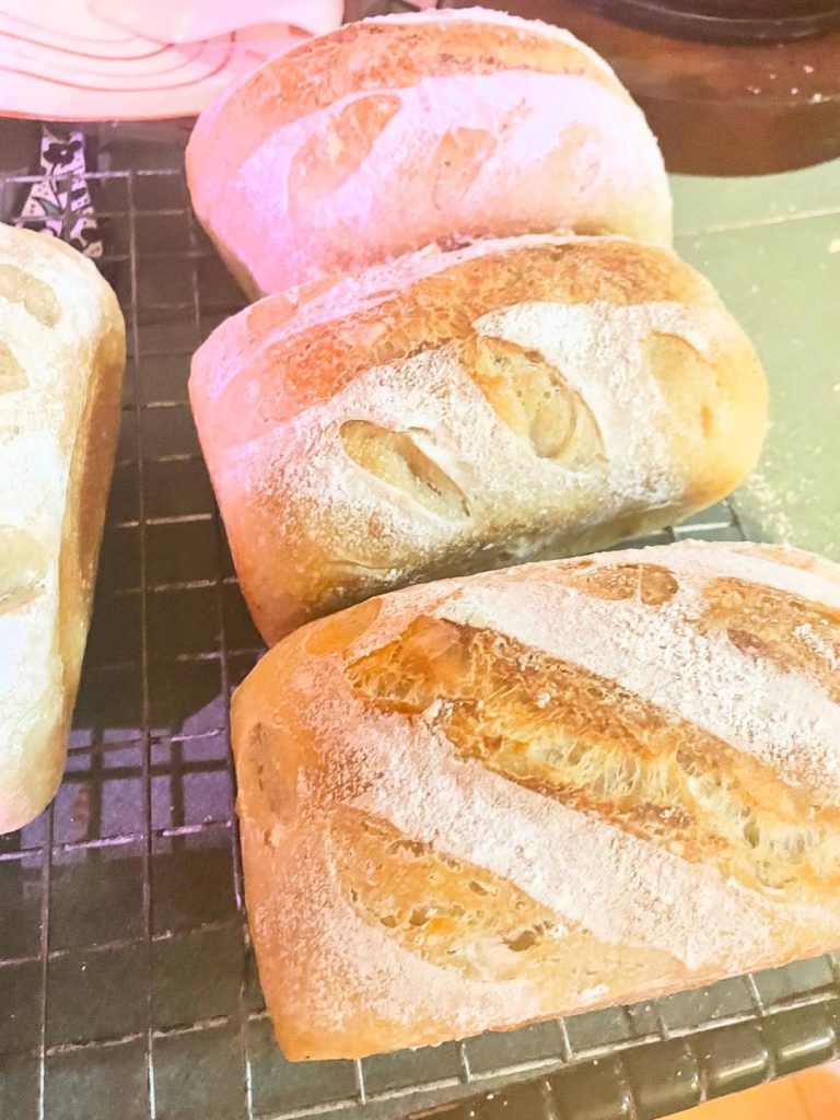 FRUGAL MEALS FOR THANKSGIVING